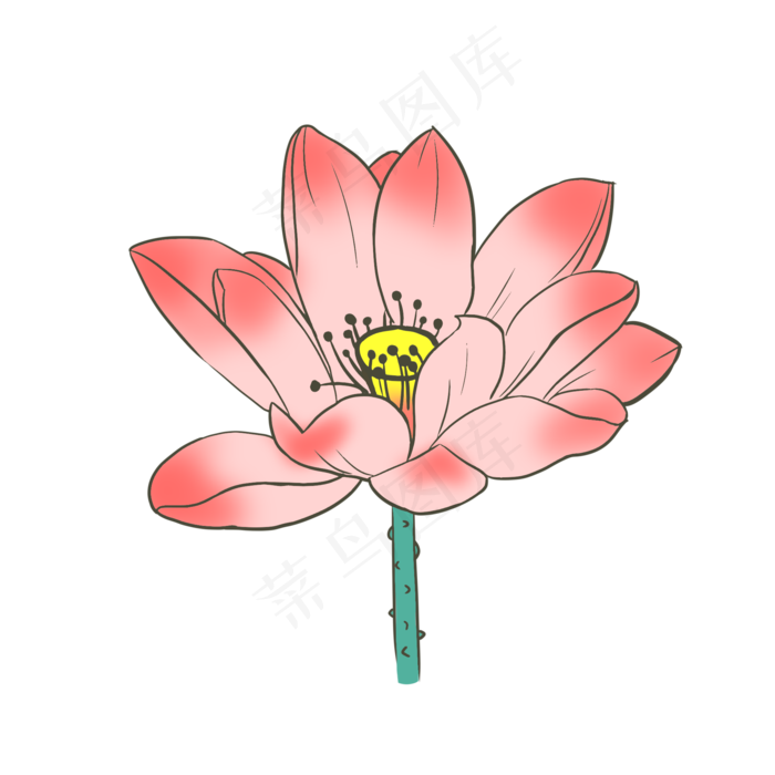 荷花粉色手绘装饰图案