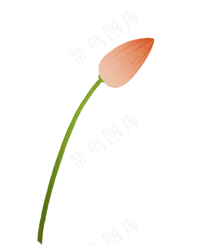 粉色荷花花苞水生植物(2897X3397(DPI:300))psd模版下载