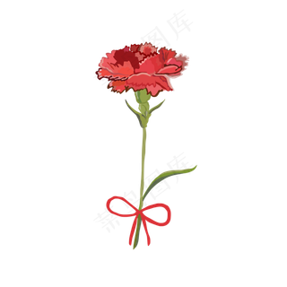 手绘水彩风半写实母亲节康乃馨免