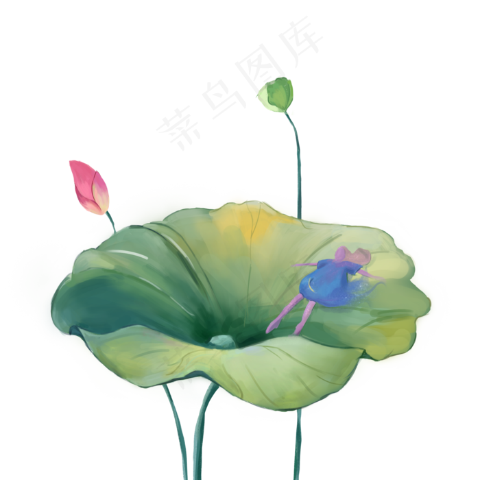 荷花荷叶少女精致