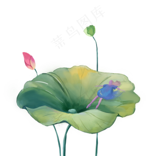 荷花荷叶少女精致