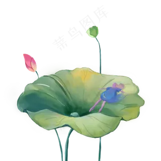 荷花荷叶少女精致