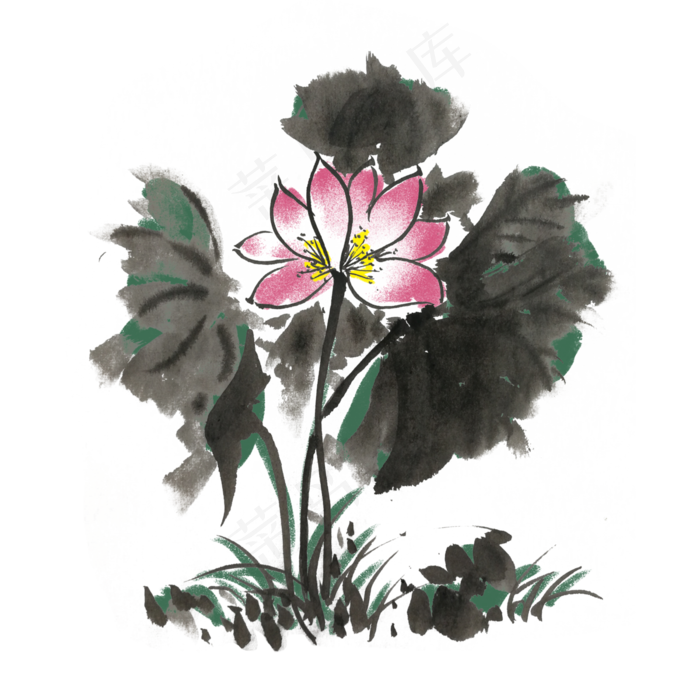 夏季荷花荷叶手绘插画