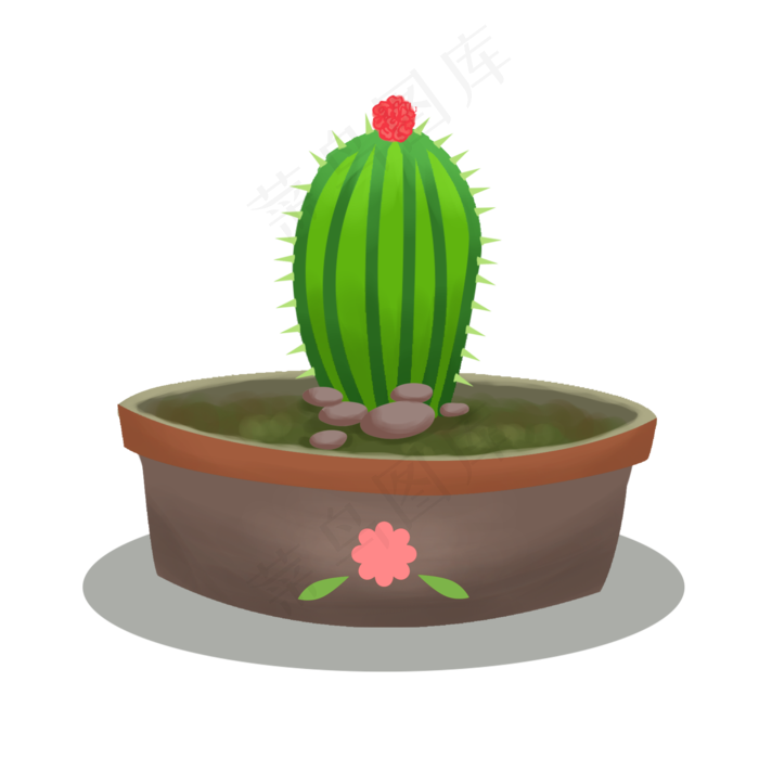 绿色的仙人掌插画