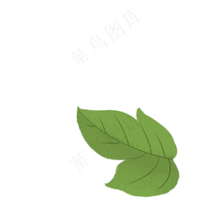 植物树叶子免抠图
