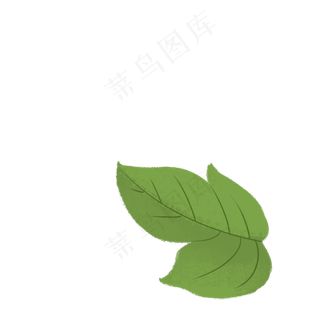 植物树叶子免抠图