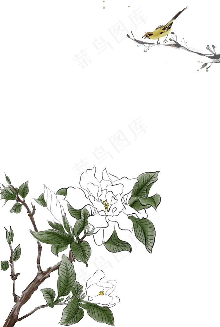 栀子花白色(2000X2972(DPI:300))psd模版下载