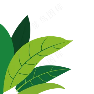 绿色植物叶子装饰元素