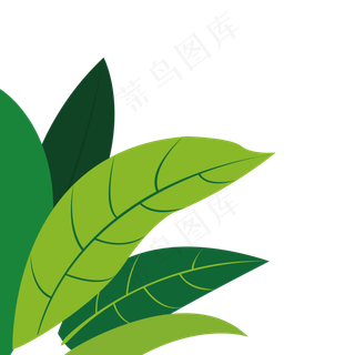 绿色植物叶子装饰元素