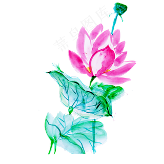 中国风荷花水彩风格