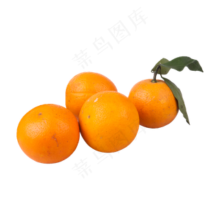 四个橙子（png免抠）