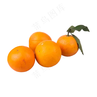 四个橙子（png免抠）