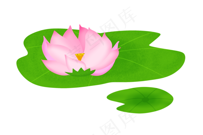 漂浮着的荷花(2990X2000(DPI:300))psd模版下载