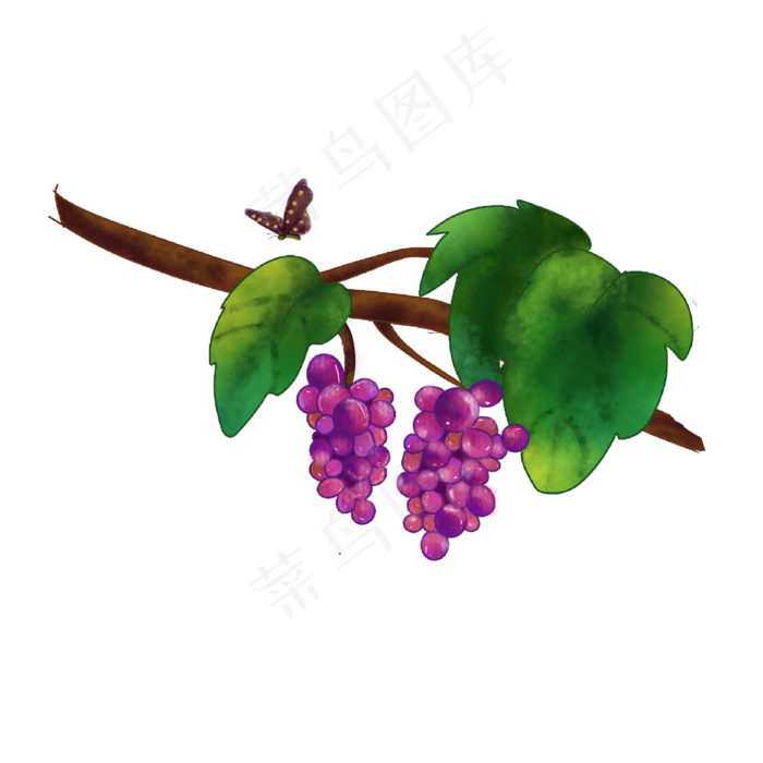 葡萄紫色葡萄树夏日蝴蝶PNG(2500X2500(DPI:4))psd模版下载