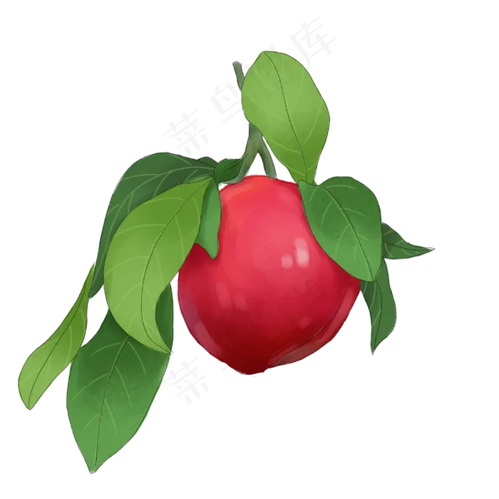 夏天水果李子(3000X3000(DPI:300))psd模版下载