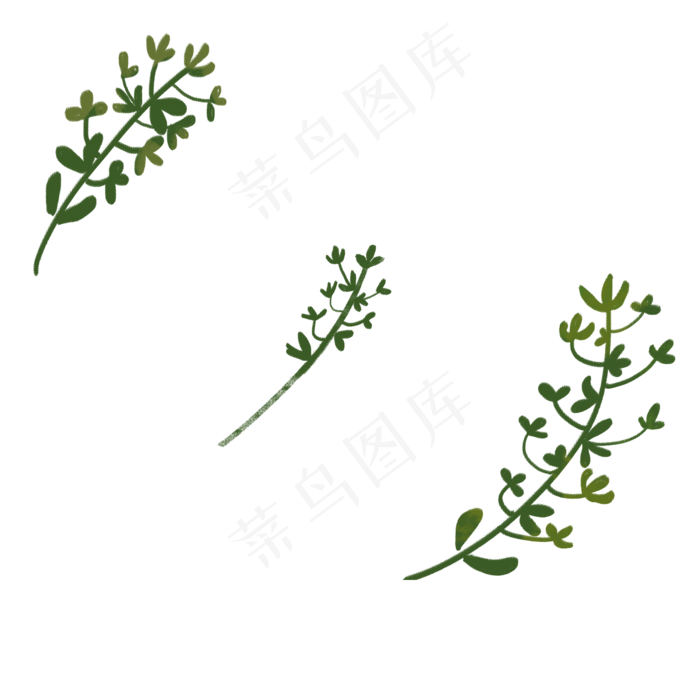 植物绿色叶子下载