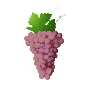 葡萄卡通手绘水果