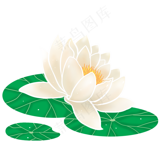 白色荷花装饰(2000X2000(DPI:300))psd模版下载