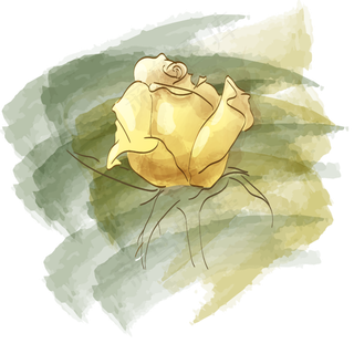 玫瑰手绘水彩小清新黄色线条国画