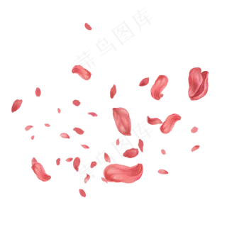 情人节玫瑰花瓣漂浮