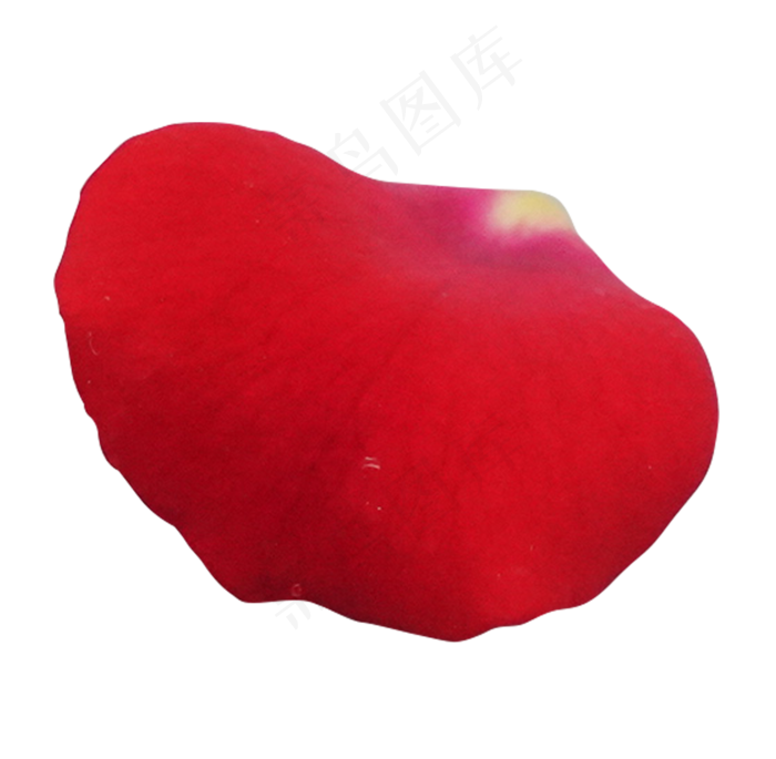 红色玫瑰花瓣