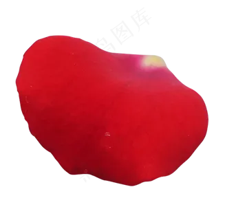 红色玫瑰花瓣