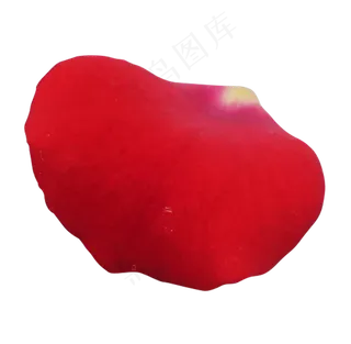 红色玫瑰花瓣
