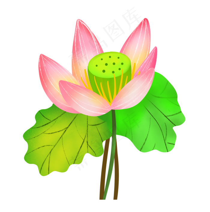 粉色荷花莲花(2000X2013(DPI:300))psd模版下载