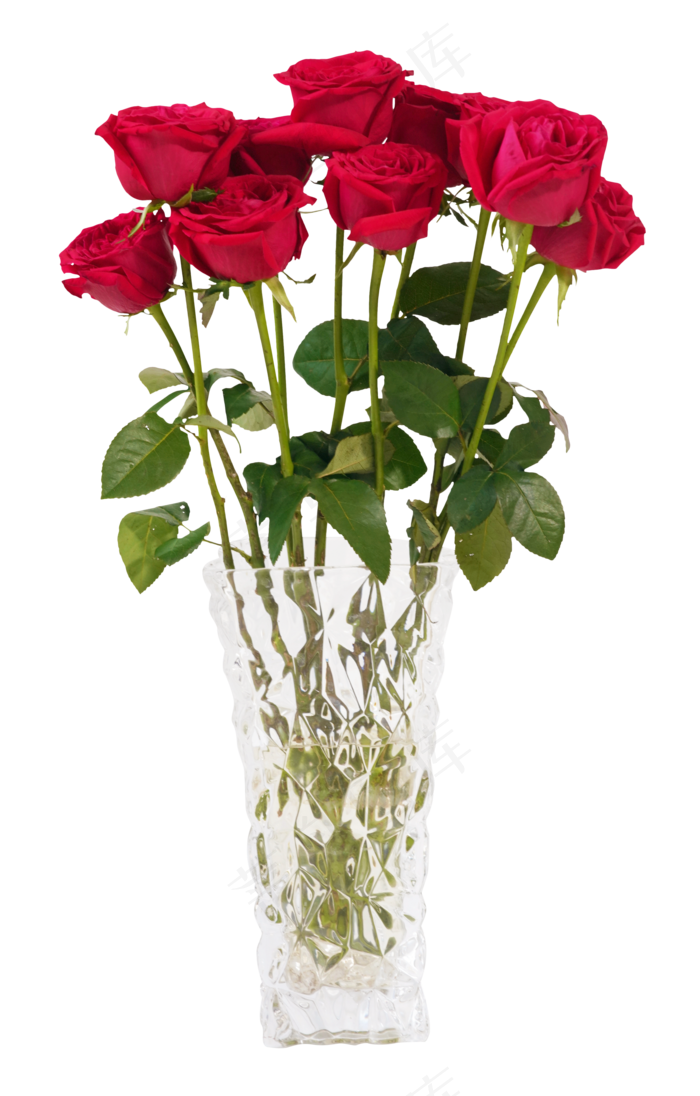 玫瑰花花瓶