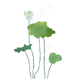 春夏水彩风格荷花荷叶PNG图片