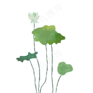 春夏水彩风格荷花荷叶PNG图片 春夏水彩风格荷花荷叶PNG图片