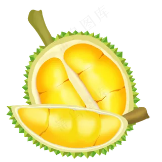 热带水果榴莲