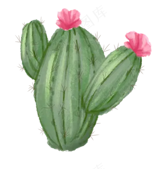 手绘涂鸦仙人掌热带植物