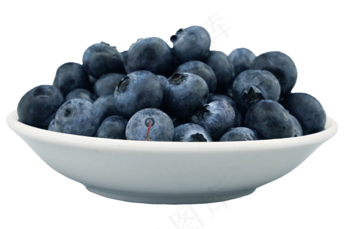 蓝莓水果食品