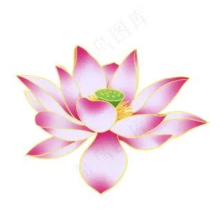 新中式国潮风荷花