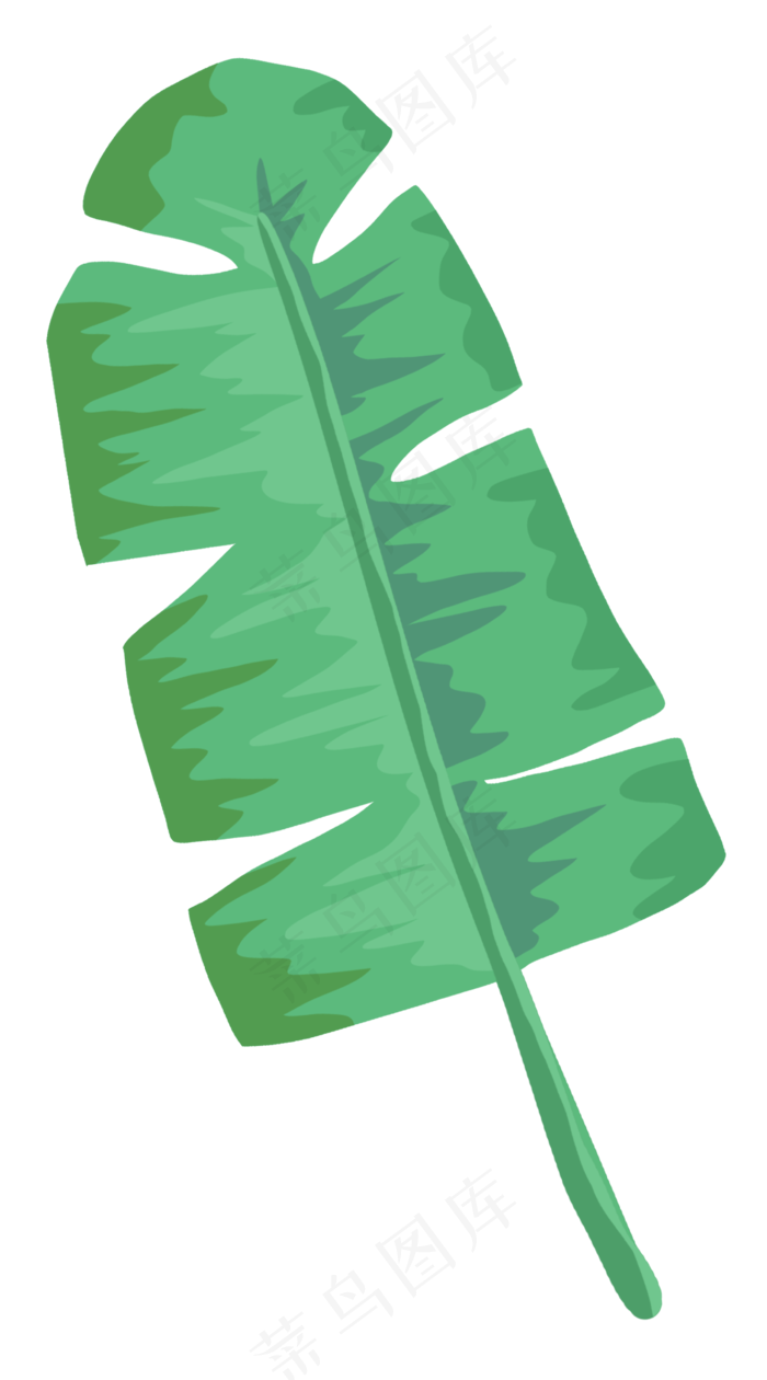 薄荷绿绿色树叶单片芭蕉叶(2362X4253(DPI:300))psd模版下载