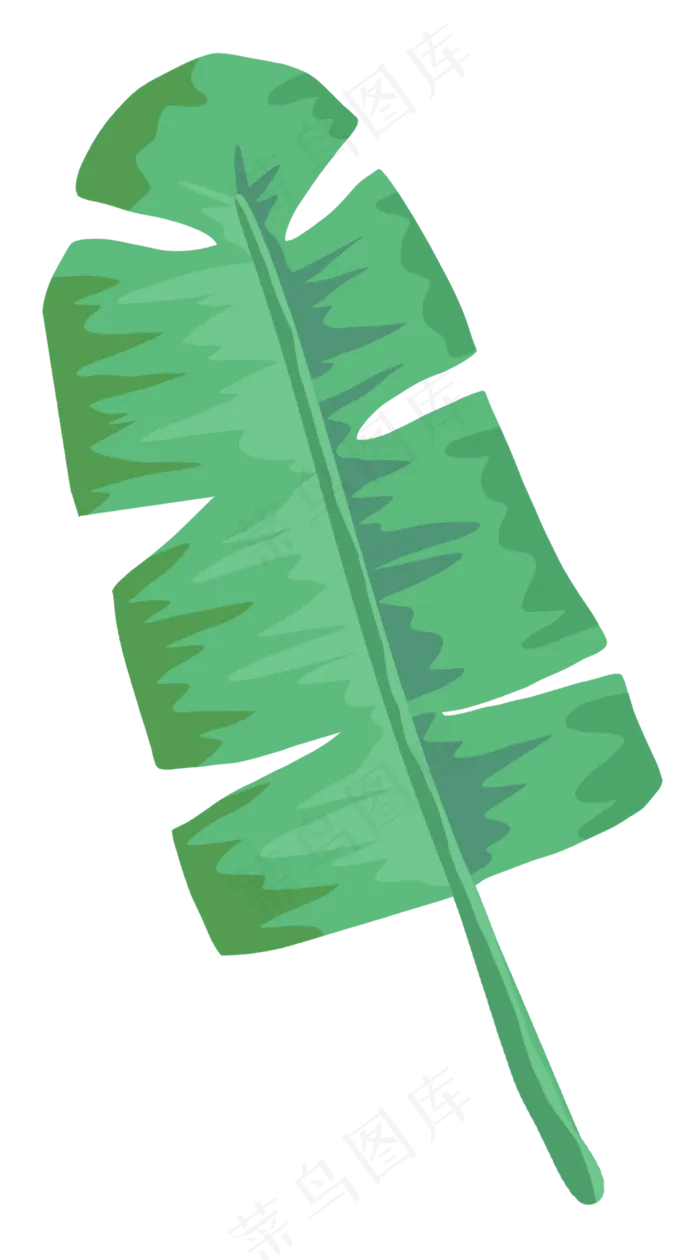 薄荷绿绿色树叶单片芭蕉叶(2362X4253(DPI:300))psd模版下载