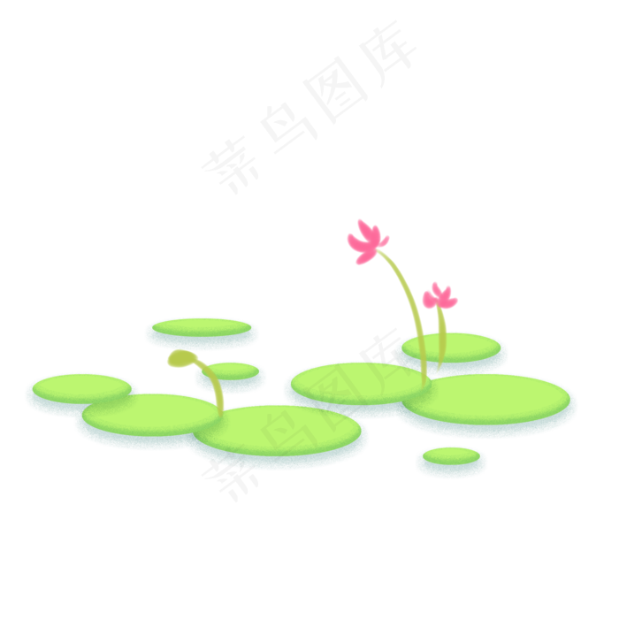绽放荷花卡通插画