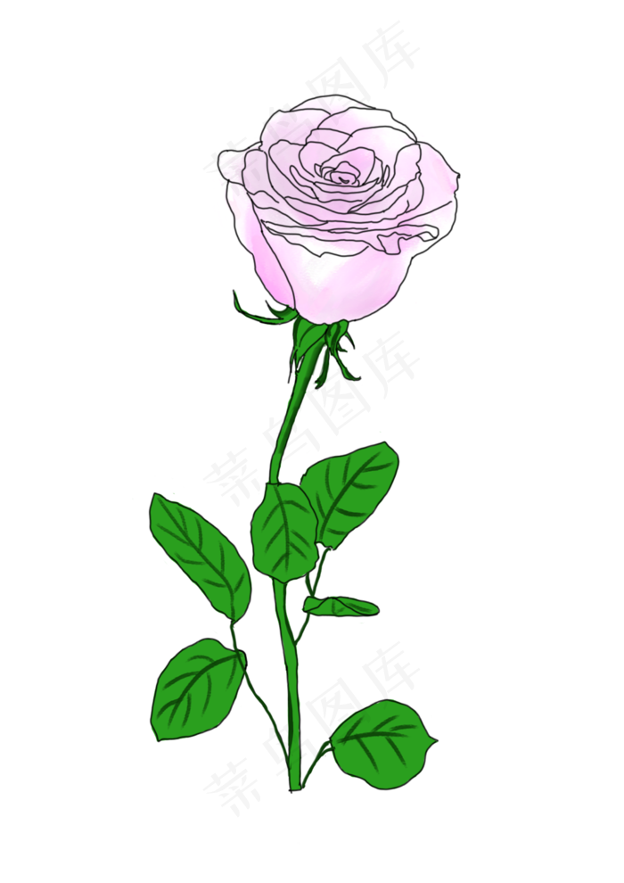 白色玫瑰花(2480X3508(DPI:300))psd模版下载