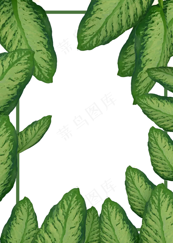 c4d立体植物边框免费下载(2000*2800px 300 dpi )