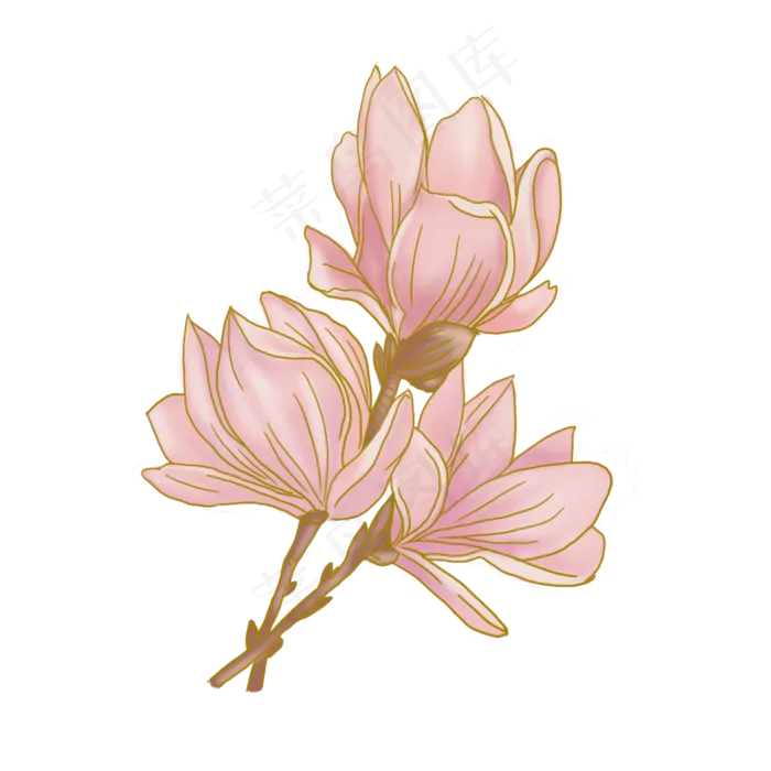 手绘水彩粉色玉兰花(2000X2000(DPI:300))psd模版下载