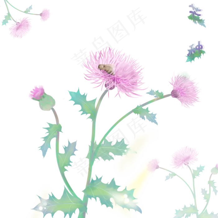 二十四节气芒种(3000X3000(DPI:300))psd模版下载
