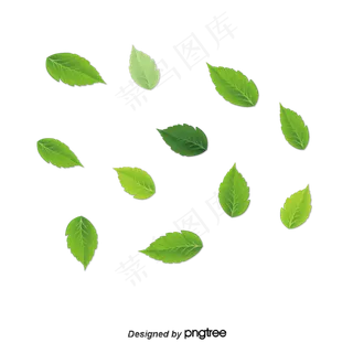 绿茶叶,免抠元素