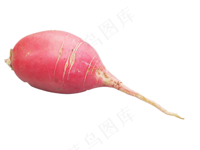 萝卜蔬菜水萝卜