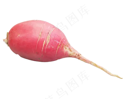 萝卜蔬菜水萝卜