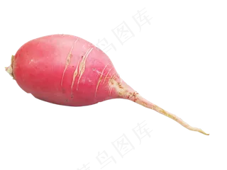 萝卜蔬菜水萝卜