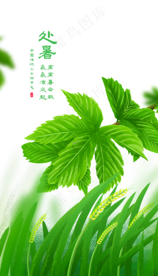 传统二十四节气处暑