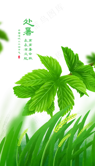 传统二十四节气处暑