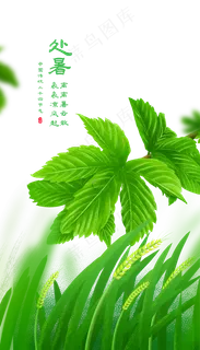 传统二十四节气处暑 传统二十四节气处暑