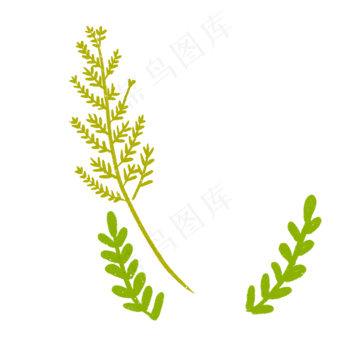 春天植物绿叶下载(2000X2000(DPI:300))psd模版下载